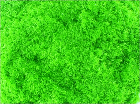 Chine # 8 mm 1 Custom Model Train Layouts matériaux Nylon Lt vert herbe poudre fournisseur