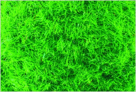 Chine A-1 2,5 mm Custom échelle modèle Train Layouts fournitures Nylon Med.Green herbe repas fournisseur