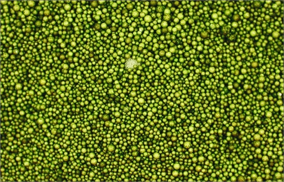 Chine FK-07 Architectural échelle modèle bâtiment matériaux Kelly Green particules fournisseur
