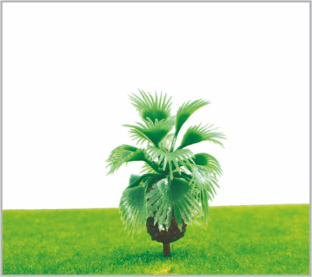 Chine HO arbre de noix de coco vert de rue d'arbres modèles miniatures de disposition de train 5.5cm fournisseur
