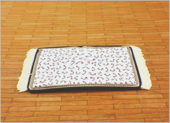 DT05 Architectural Scale Model maison ameublement 01:50 / 1:75 / 01:30 tapis de poterie fournisseur